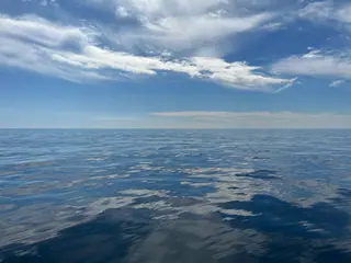 Fishing Adventure on Georgia's Artificial Reefs