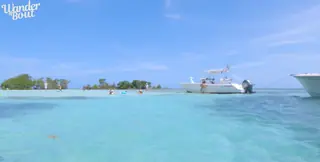Twice to Molasses Keys — Why This Little Island Stole My Heart
